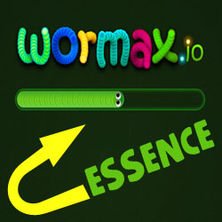 What Is Wormax.io Essence?