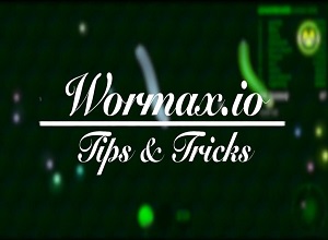 wormaxio tips